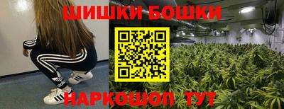 стаф Бузулук