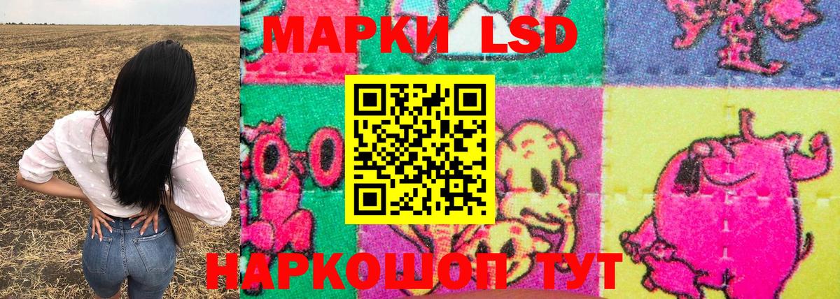 Чайковский  Наркотические марки  Вход с VPN  Наркотические марки 1500мкг  Наркотические марки 1500мкг 