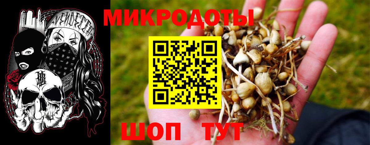 Псилоцибиновые грибы Psilocybine cubensis Чайковский