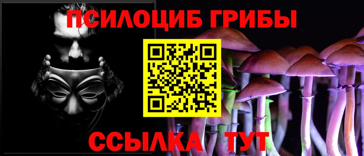 Псилоцибиновые грибы Psilocybe  Вход с VPN  Чайковский 